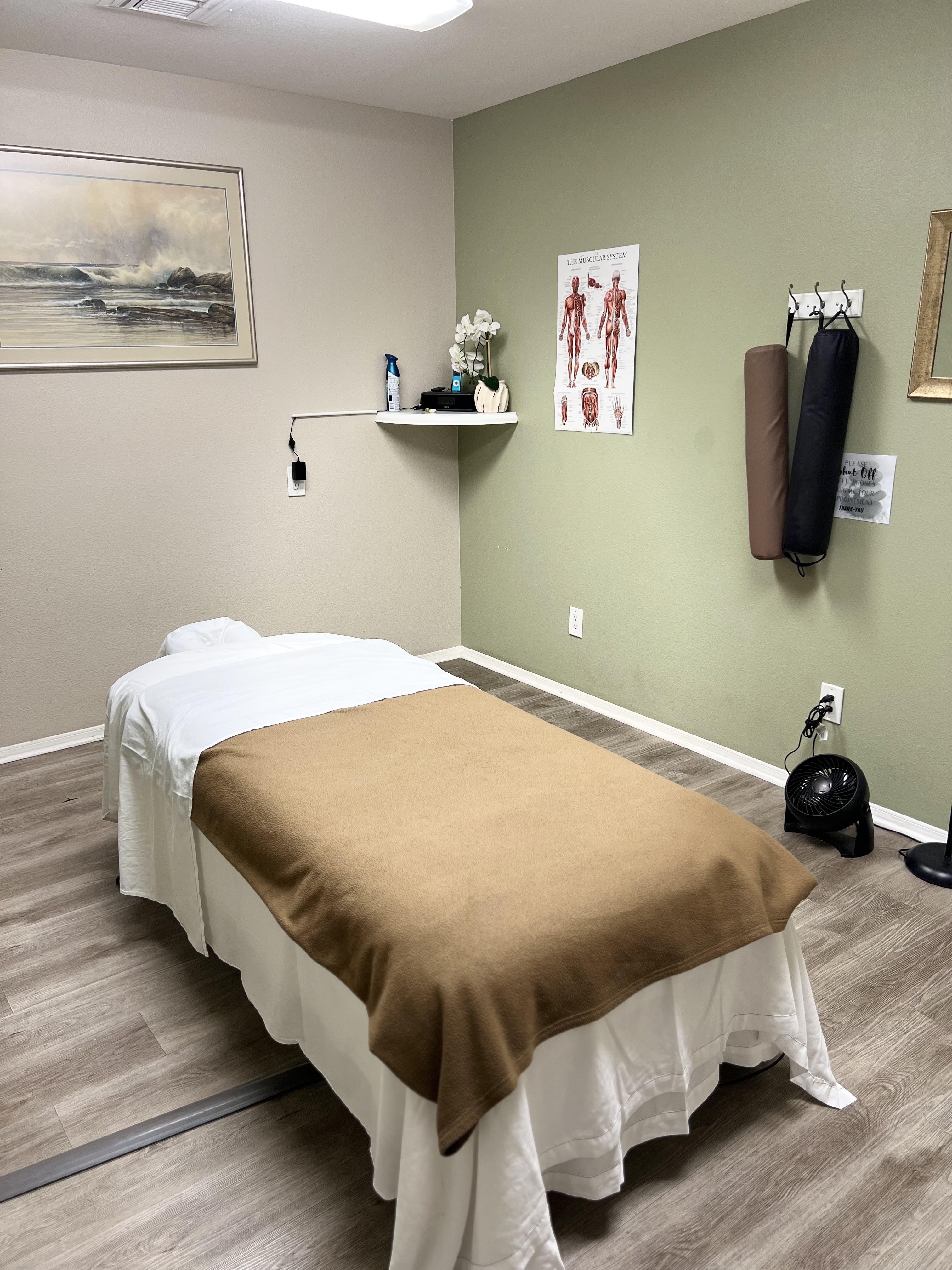 Massage therapy treatment room